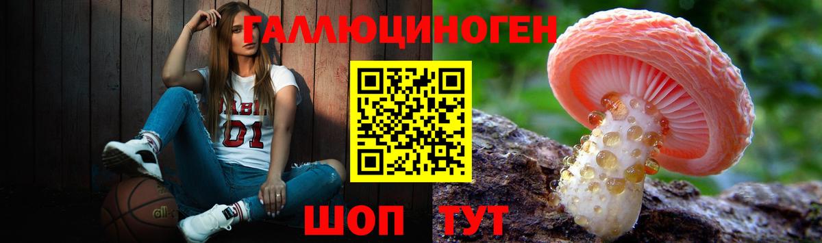 Галлюциногенные грибы Psilocybine cubensis Миллерово